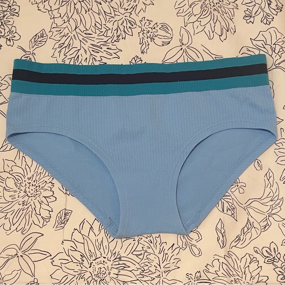 NWT Victoria's Secret Blue Seamless Hiphugger Underwear